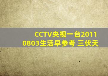 CCTV央视一台20110803生活早参考 三伏天